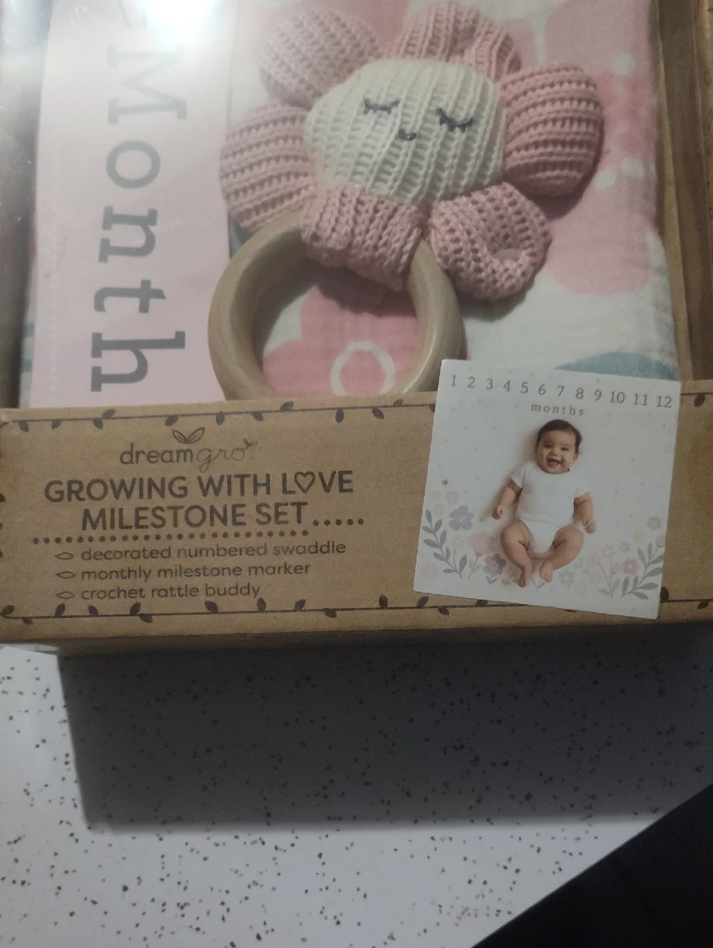 Growing With Love Milestone Set - Pink Floral Baby Bib Accessory Set